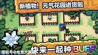 元气骑士最新大爆料,揭秘神秘大爆料,探索未知冒险世界