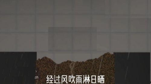 甜瓜娱乐场最新爆料,明星幕后故事大曝光!